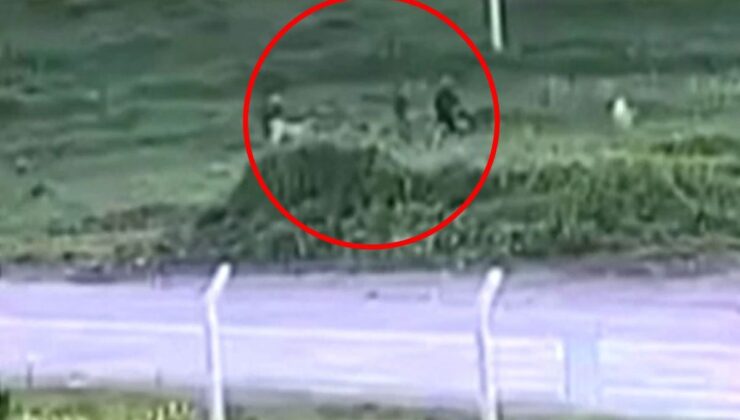 Baba ve oğlunun köpeklerine öfkelenip komşularını darbettiği anlar kamerada