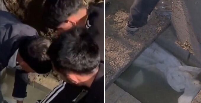 Görüntü Türkiye’den! Mezarlıkta bir garip olay: Cenazeyi gömüldüğü yerden çıkardılar
