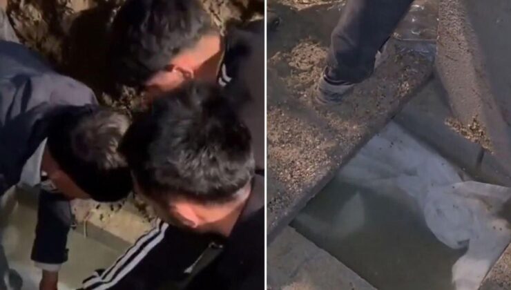 Görüntü Türkiye’den! Mezarlıkta bir garip olay: Cenazeyi gömüldüğü yerden çıkardılar