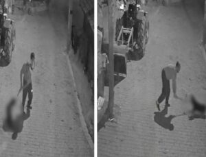 Köpeği demir sopayla döverek öldürdü