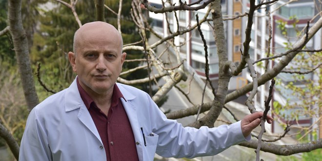 Öğretmenden geleceğe miras: Nesli tükenen yöresel meyveleri aşılıyorlar