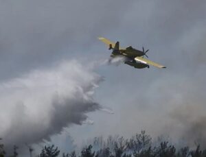 Polonya’da orman yangını söndürme çalışmalarına katılan uçağın düşmesi sonucu pilot öldü