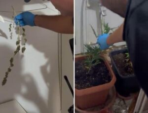Çok özel görüntüler! Baro başkanı ve 12 avukatın evlerinden çıkanlar şoke etti