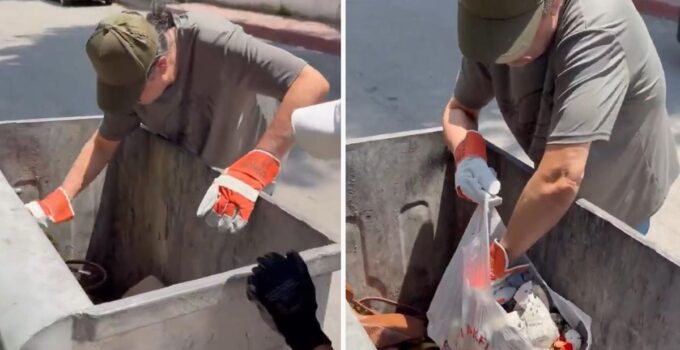 Şarkıcı Çelik, konteynerlerden kağıt topladı