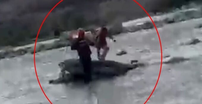 Siirt’te Kezer Çayı’nda mahsur kalan çocuk AFAD ekipleri tarafından kurtarıldı