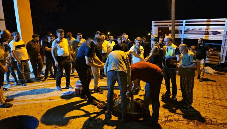 Siirt’te rögardan sızan sudan zehirlendiği ileri sürülen 32 küçükbaş hayvan telef oldu