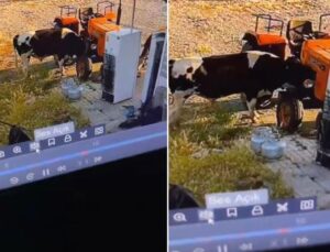 Yer: Konya! Görüntüsü olmasa kimsenin inanmayacağı bir olay daha