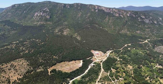 35 gündür kayıp olarak aranan üniversite öğrencisi ormanda ölü bulundu