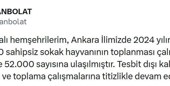 Ankara’da 52 bin sahipsiz sokak hayvanı toplandı