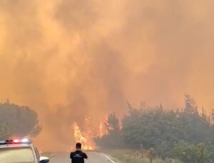 Balıkesir Susurluk’ta orman yangını