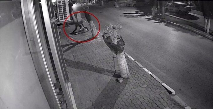 Genç kıza bıçakla dehşeti yaşatmıştı, adli kontrol ile tahliye edildi