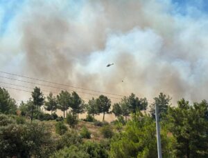 GÜNCELLEME – Antalya’nın Kumluca ilçesinde orman yangını çıktı