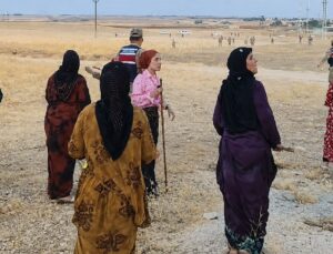 İki aile arasında pamuk tarlasında taşlı sopalı kavga; 8 yaralı