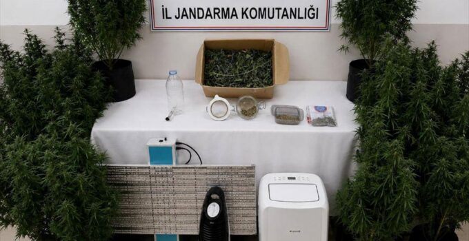 İzmir’de hükümlünün yatak odasında uyuşturucu serası bulundu