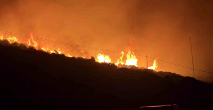 İzmir’de makilik alanda yangın