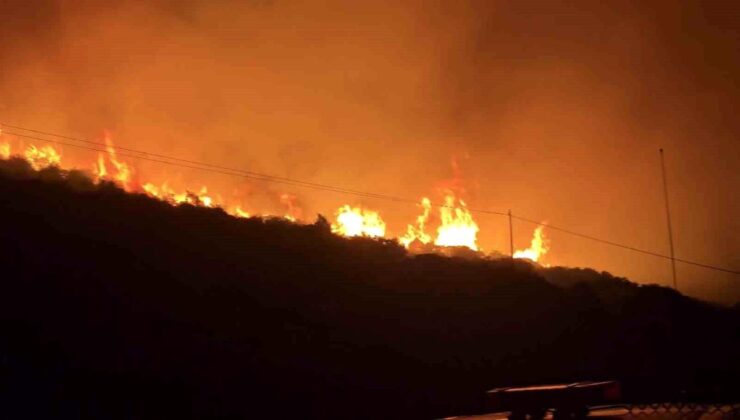 İzmir’de makilik alanda yangın
