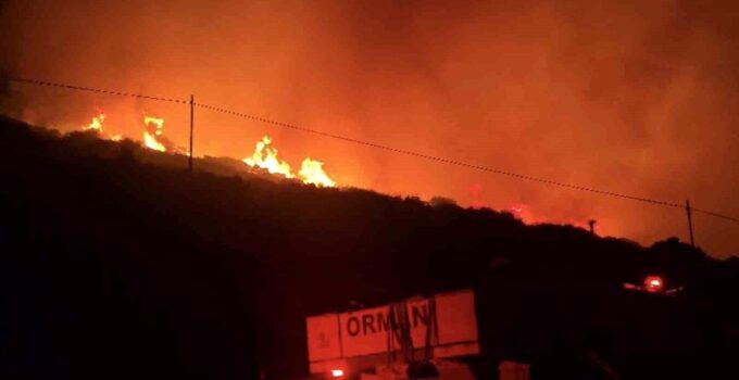 İzmir’de makilik alandaki yangın kontrol altında