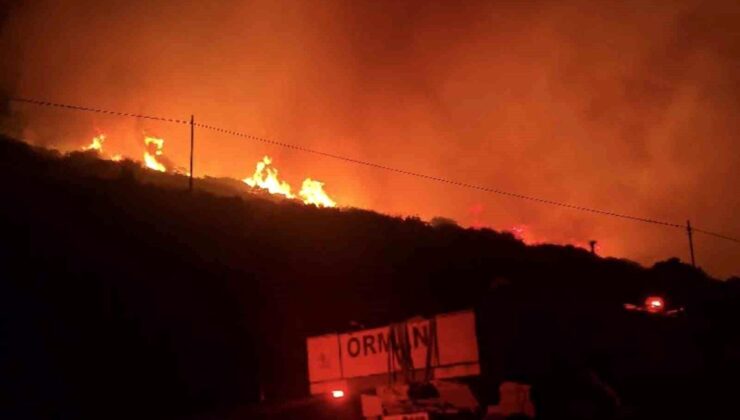 İzmir’de makilik alandaki yangın kontrol altında