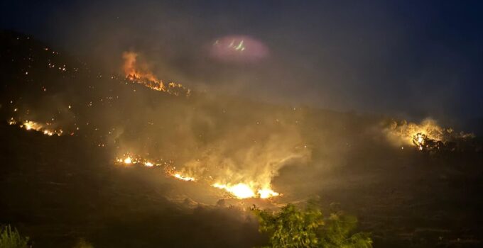 İzmir’de otluk alanda yangın çıktı