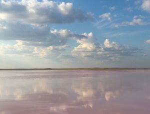 Kazakistan’da bozkırın ortasındaki pembe göl: Köbeytuz