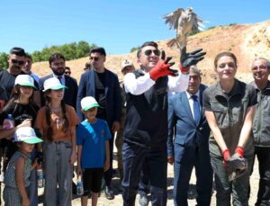 Kenelere karşı mücadele sürüyor: Tunceli’de 500 kınalı keklik doğaya salındı