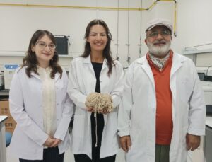 Kronik stres ve uyku bozukluğu ‘Uyutan İplik’ ile tedavi edilecek; örgü örerken uykuları gelecek