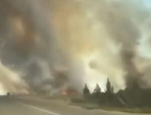 Nusaybin’de mayınlı sınır hattında anız yangını