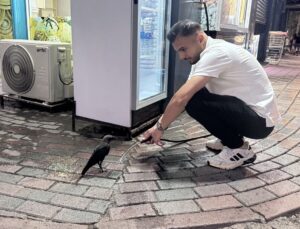 Siirt’te susayan kargaya esnaf tarafından su verildi