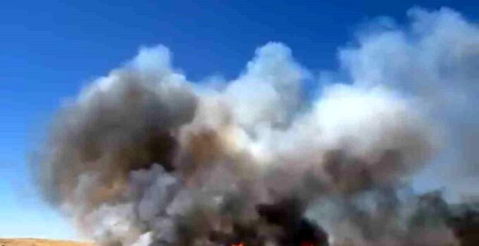 Siirt’te yüzlerce dönüm buğday arazisi yangında kül oldu