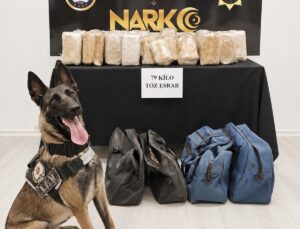 Şırnak’ta tırda 79 kilogram esrar ele geçirildi