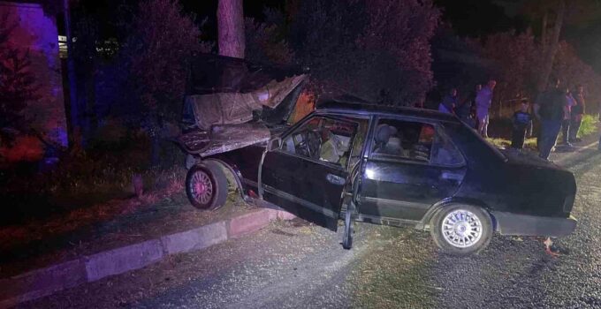 Sokak köpeğinden kaçmak isteyen otomobil ağaca çarptı: 1’i ağır 2 yaralı
