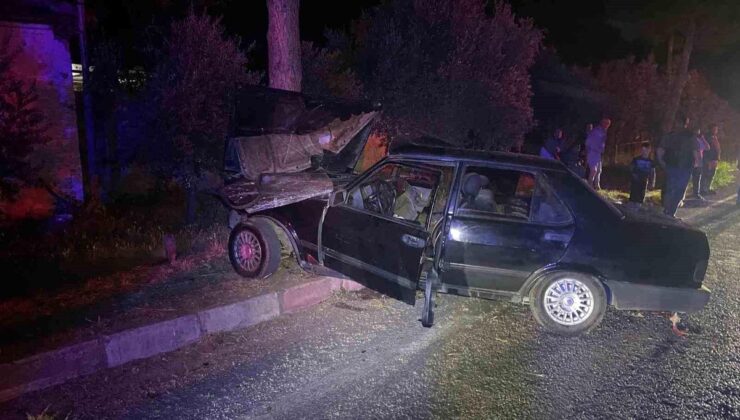 Sokak köpeğinden kaçmak isteyen otomobil ağaca çarptı: 1’i ağır 2 yaralı