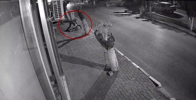 Takıntılı takip vahşetinde flaş karar: Serbest kalan saldırgana yeniden tutuklama yolu