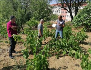 Tekirdağ’dan kısa kısa