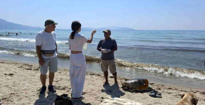 Üremek için geldikleri kıyılarda 3 caretta caretta ölü bulundu