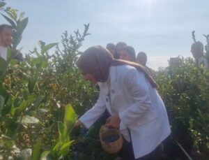 Bakan Göktaş açıkladı, şehit aileleri ve gazilere yönelik haklar genişliyor