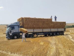 Çiftçiden Yangın Bölgesine 1200 Balya Saman