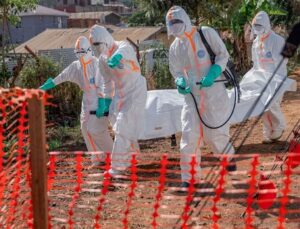 Ebola salgını yayıldı, DSÖ’den hükümetlere acil çağrı geldi