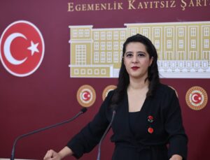 EMEP’li Karaca, Madran Dağı yangınını TBMM’ye taşıdı: 5 bakana soru önergesi