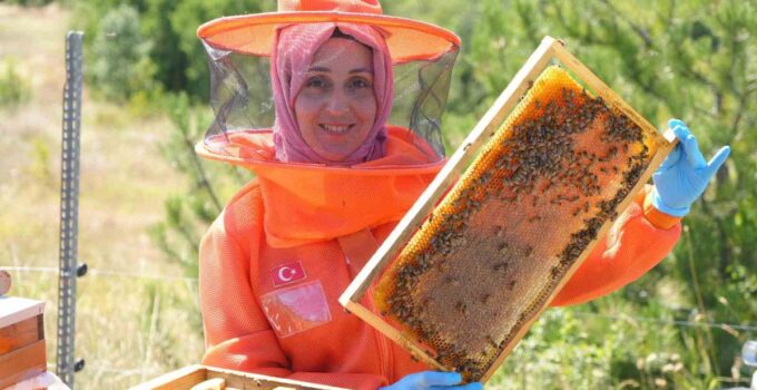 İstanbul’dan Kastamonu’ya Arı Sütü Yolculuğu