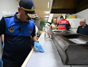 Kadirli’de iş yerlerine kapsamlı denetim