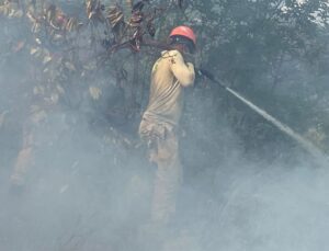 Kaş’ta orman yangınına havadan ve karadan müdahale