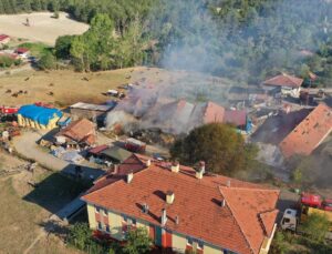 Kastamonu’da ahır yangını: 14 hayvan telef oldu