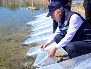 Kırklareli Barajı’na 450 Bin Sazan Yavrusu Salındı