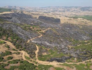 Kula’da yangın sonrası hasar dronla görüntülendi