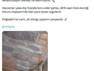 Manisa’da CITES kapsamındaki 61 yaban hayvanı ele geçirildi