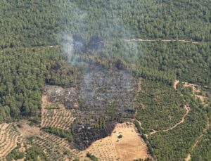 Muğla’daki orman yangını kontrol altına alındı, 2 hektar alan zarar gördü