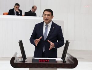 Şahin: ‘Eşsiz demokrasi’ denilemez