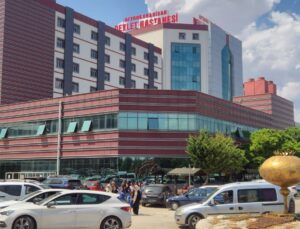 Serada ilaçlama faciası: 9 işçi hastanelik oldu