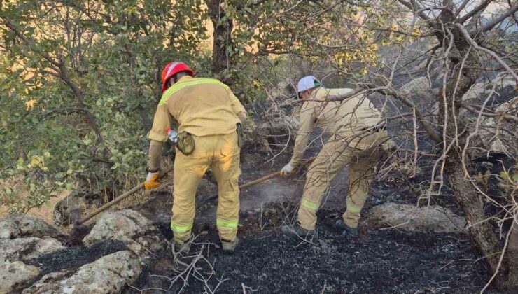 Siirt’te orman yangını kontrol altına alındı